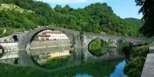 «Pianeta Terra», da oggi a domenica a Lucca la quarta edizione del Festival diretto da Stefano Mancuso