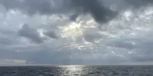 Il Mediterraneo ribolle: più 5 gradi