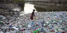 L’eredità tossica della plastica