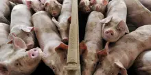 Brevi e brevissime ambiente