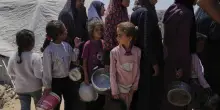 «In due giorni a Gaza 29 palestinesi sono morti per la fame»