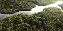 La «Devastazione» dell’Amazzonia è legge