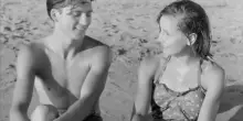 Estate al mare, schegge di cinema balneare