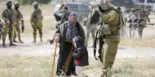 Cisgiordania sotto assedio, ulivi sradicati e case occupate