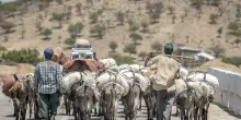 Sulla pelle dei lavoratori