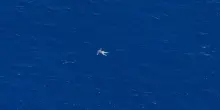 Sea-Watch avvista tre cadaveri. La Germania taglia i fondi alle ong