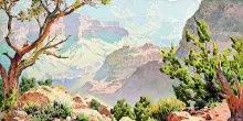 Gunnar Widforss, pittore «loser» del Grand Canyon