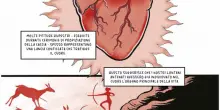 Storie e avventure del battito cardiaco narrate in immagini