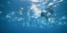L’appello degli scienziati: «aiutiamo gli oceani ad aiutare il Pianeta»