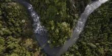 Il diritto naturale della Natura