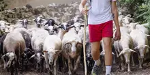 Una scuola per la pastorizia estensiva di Calascio, nel cuore dell’Abruzzo. Un’idea di Slow Food e D.R.E.Am Italia