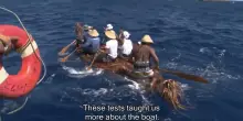 Isole Ryukyu, onda su onda nel Pleistocene