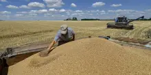 Ucraina, un terreno fertile dove crescono speculatori