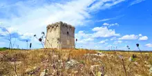 Omar Di Monopoli, l’incanto delle rovine