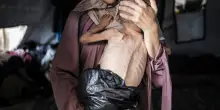 Vergogna e genocidio. Considerazioni di un contestatore