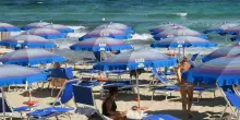 Mediterraneo bollente: arrivano alghe tossiche e specie aliene