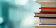 La «nuova scuola capitalista» una cupa e resistibile ascesa