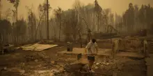 2024, l’anno record degli incendi: rasi al suolo 13,5 milioni di ettari di foreste