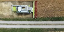 Agricoltura e sistemi alimentari, la «transizione tradita»