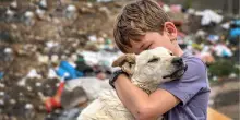 La storia di «Timida», la cagnolina cieca legata ai binari e uccisa dal treno