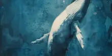 Proiezioni sul mare, l’origine della vita sul Pianeta da tutelare