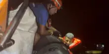 Migranti scaricati e lanciati in acqua «come rifiuti»