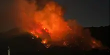 Vesuvio, bruciati dal fuoco ettari di pineta e vigne