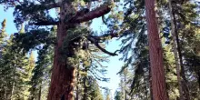 Wilderness, una sfida nel cuore dell’America