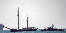 Commando contro la Sumud