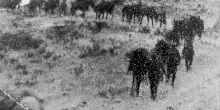 Diana Allan, la Palestina fra i fotogrammi del colonialismo