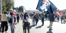 Nelle piazze per la Palestina il Jolly Roger di «One Piece»: simbolo di libertà