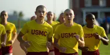 Orgoglio e pregiudizio queer nel campo dei marines