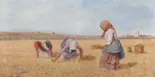 Bartolomeo Paradiso, accensioni cromatiche per i campi di Puglia tra Otto e Novecento