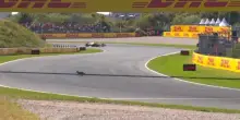 F1, GP Olanda: volpe in pista, taglia la strada a Leclerc! VIDEO