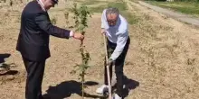F1, GP Made in Italy: "Ogni pilota un albero", si piantano 20 alberi a Imola. VIDEO