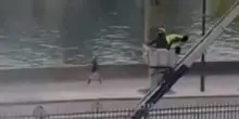 Furto al Louvre, i ladri fuggono indisturbati dopo aver rubato i gioielli. VIDEO