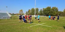 URC, le Zebre ospitano gli Stormers sudafricani