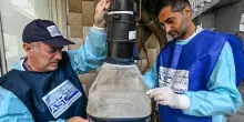 West Nile, nuovi casi in Italia. Limitazioni su donazioni sangue ma niente allarmismi