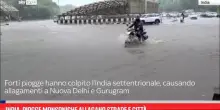India, piogge monsoniche allagano strade e città