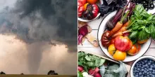 Il costo del cibo aumenta a causa del cambiamento climatico? La tesi di uno studio