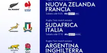 Summer Series, tre test match su Sky. Sudafrica e Italia di nuovo in campo
