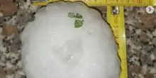Maltempo, grandine in Veneto e Friuli: caduti chicchi grandi fino a 12 cm
