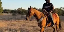Hamilton cowboy: in sella a un cavallo ad Austin! VIDEO