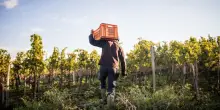 Sicurezza sul lavoro, in arrivo nuove norme entro luglio. Cosa sappiamo
