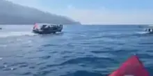 Flotilla: abbordata da Israele anche Marinette, l'ultima barca