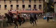 Palio di Siena 2025, le contrade partecipanti: fantini e cavalli favoriti