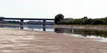 Trovato morto in riva al Po, c'è anche l'ipotesi omicidio: vittima un giovane turista (con una ferita alla gola) in zona Zinasco