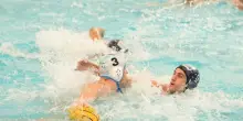 Pallanuoto, Anzio-Gls Napoli Lions 14-11, sconfitta indolore