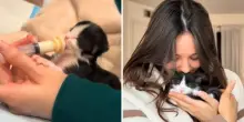 Gattino di 5 giorni abbandonato sotto la pioggia, il lieto fine di Levi: «Stava morendo, ora sono la sua mamma»