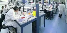 Malattie rare, scoperto un nuovo gene legato alla retinite pigmentosa ereditaria sul cromosoma X